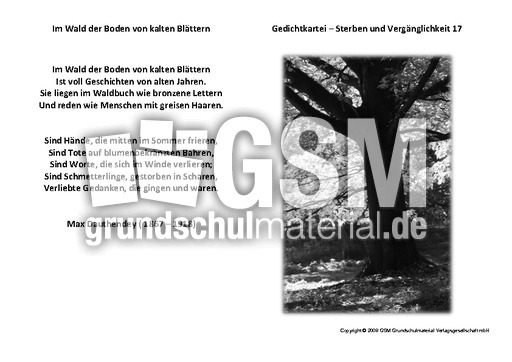 Im-Wald-der-Boden-von-klaten-Blättern-Dauthendey.pdf